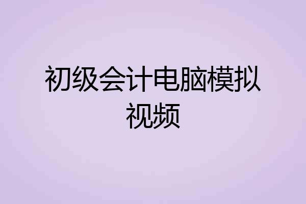 初级会计电脑模拟视频