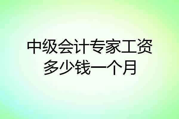 中级会计专家工资多少钱一个月