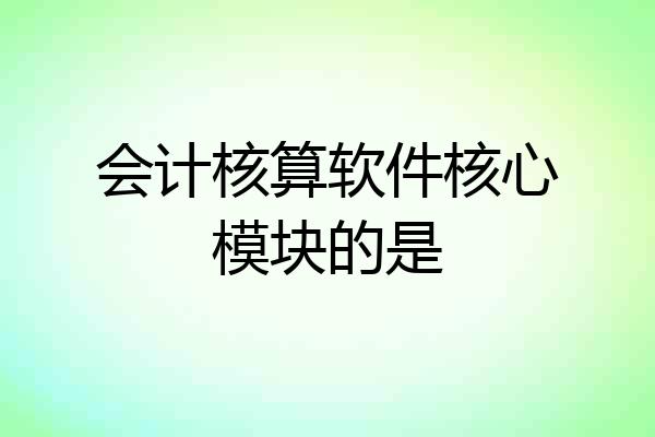 会计核算软件核心模块的是