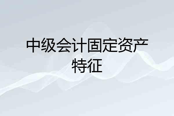 中级会计固定资产特征