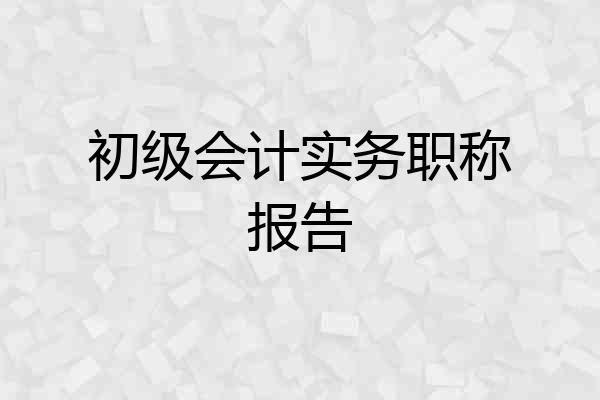 初级会计实务职称报告