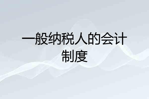 一般纳税人的会计制度