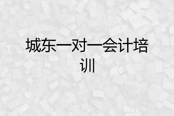 城东一对一会计培训