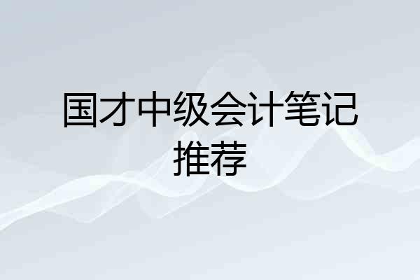 国才中级会计笔记推荐