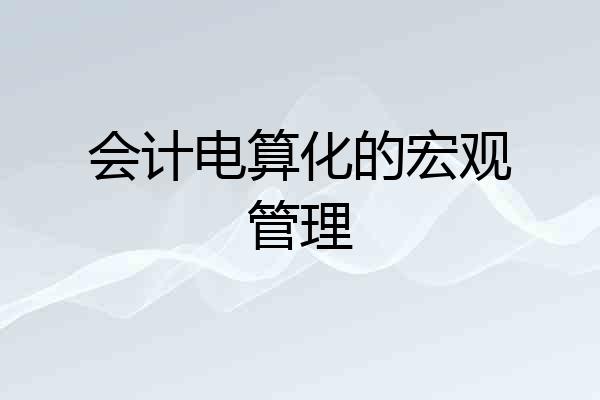 会计电算化的宏观管理