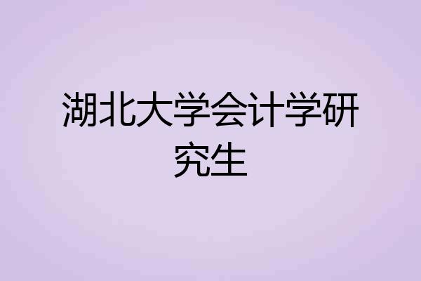 湖北大学会计学研究生