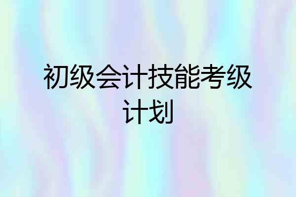 初级会计技能考级计划