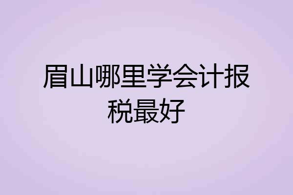 眉山哪里学会计报税最好