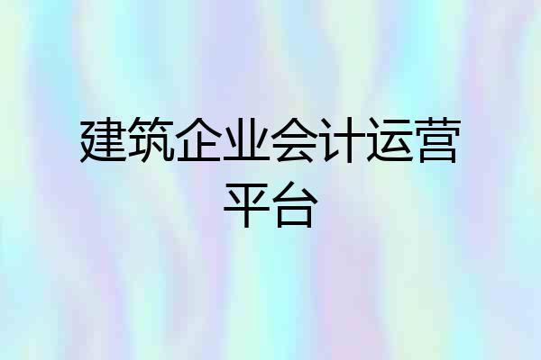 建筑企业会计运营平台