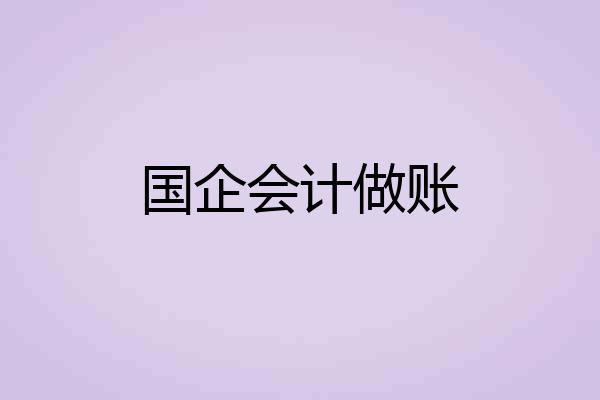 国企会计做账