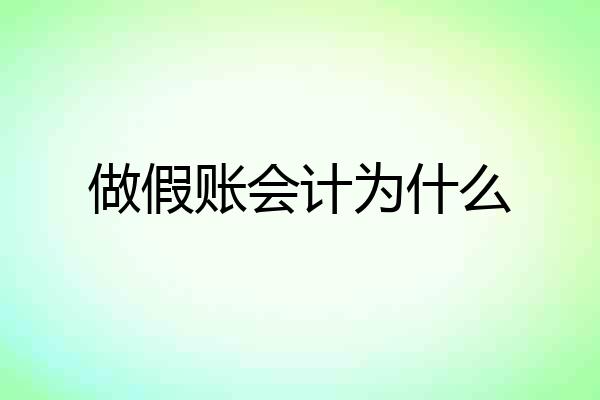 做假账会计为什么