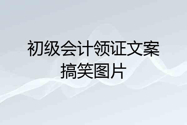 初级会计领证文案搞笑图片