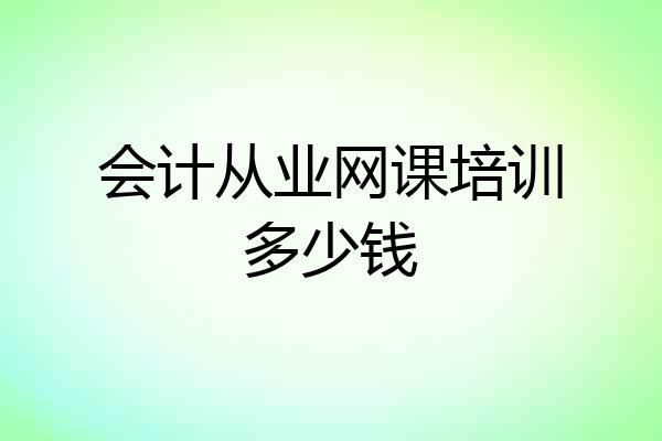 会计从业网课培训多少钱