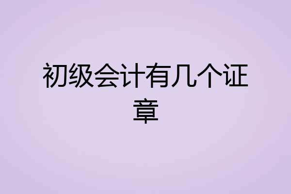 初级会计有几个证章