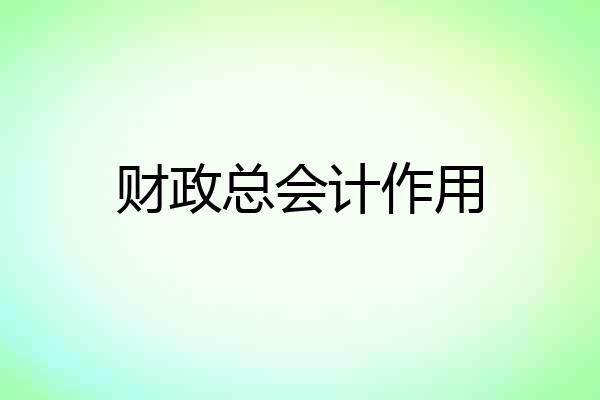 财政总会计作用