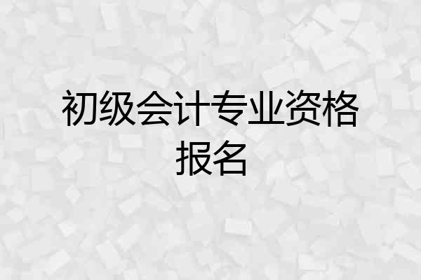 初级会计专业资格报名