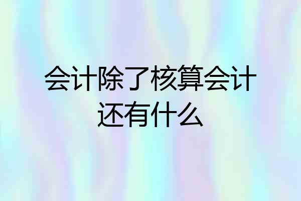 会计除了核算会计还有什么