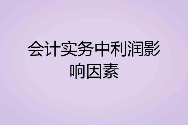 会计实务中利润影响因素