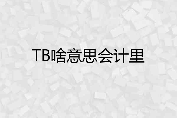 TB啥意思会计里