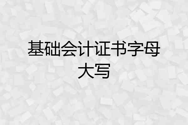 基础会计证书字母大写