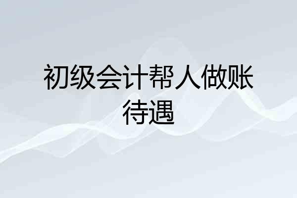 初级会计帮人做账待遇