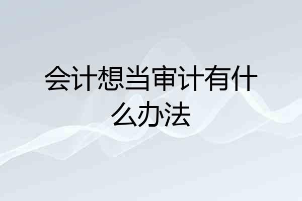 会计想当审计有什么办法