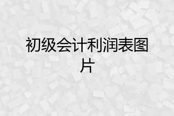 初级会计利润表图片