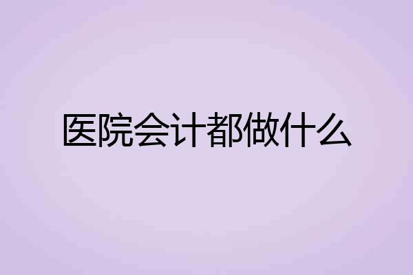 医院会计都做什么