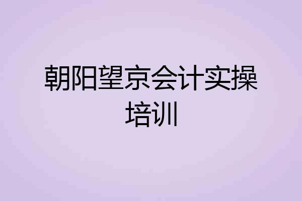朝阳望京会计实操培训