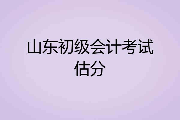 山东初级会计考试估分