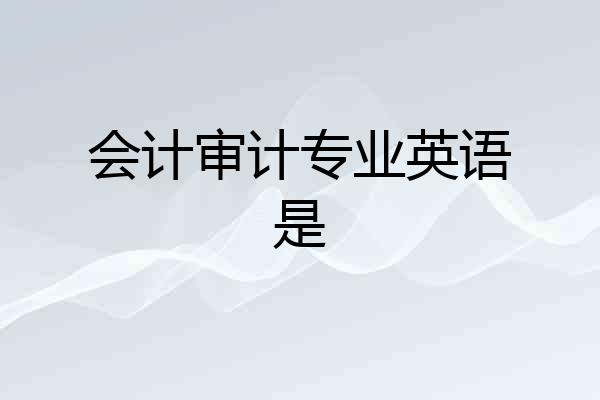 会计审计专业英语是