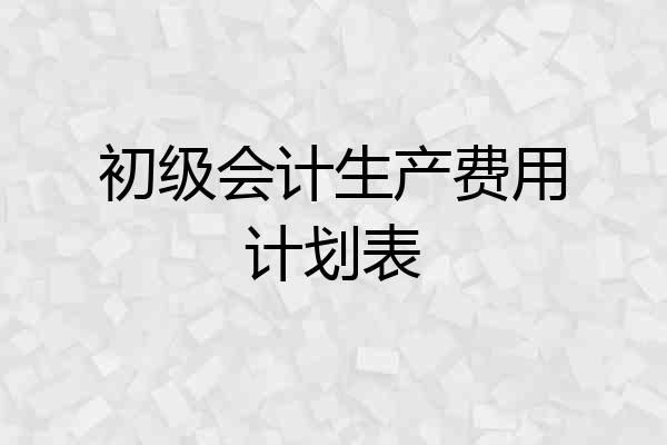 初级会计生产费用计划表