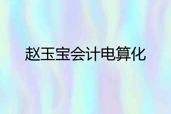 赵玉宝会计电算化