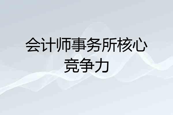 会计师事务所核心竞争力