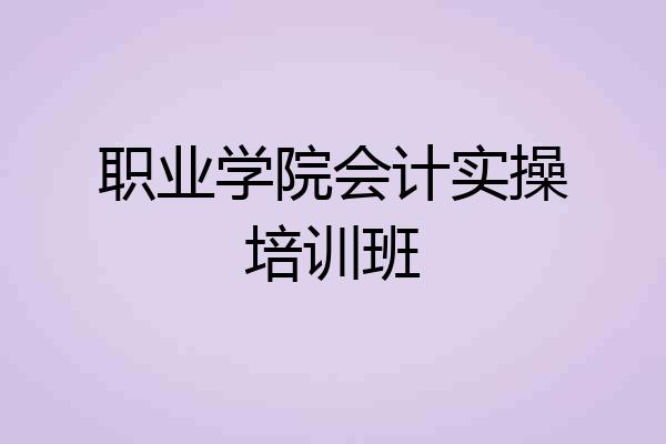 职业学院会计实操培训班