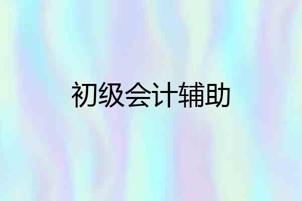 初级会计辅助