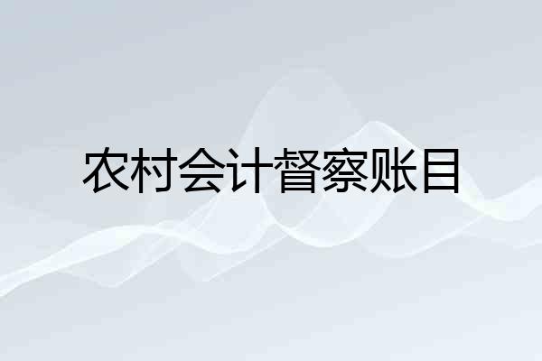 农村会计督察账目