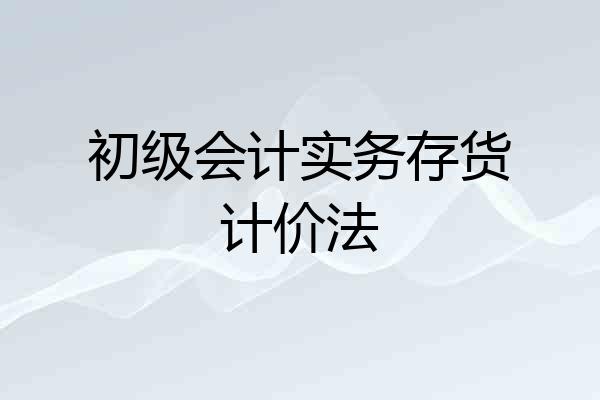 初级会计实务存货计价法