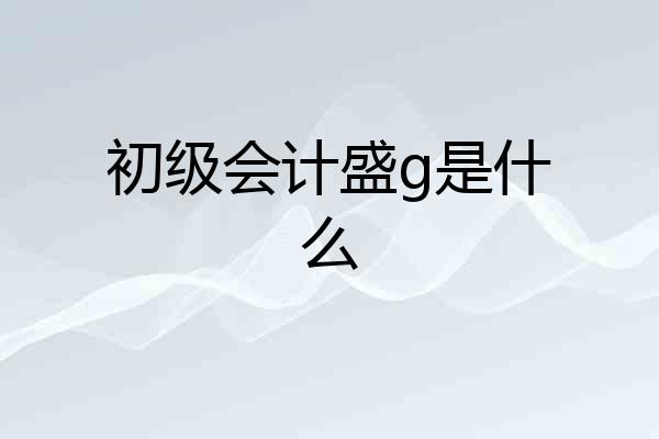 初级会计盛g是什么