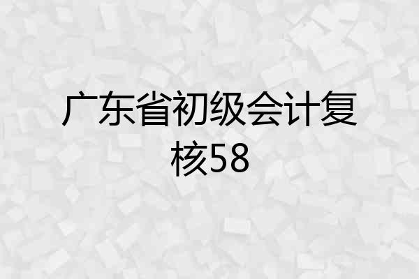 广东省初级会计复核58