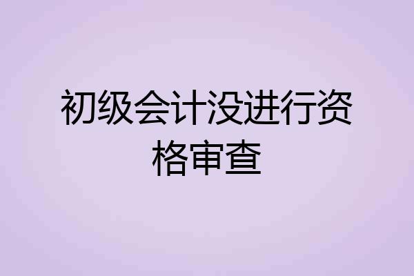 初级会计没进行资格审查