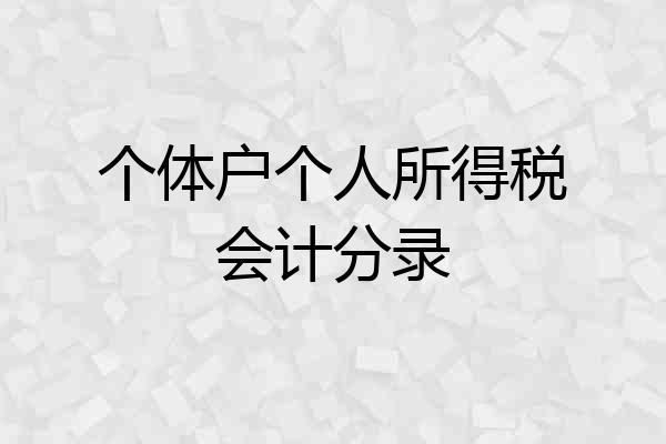 个体户个人所得税会计分录