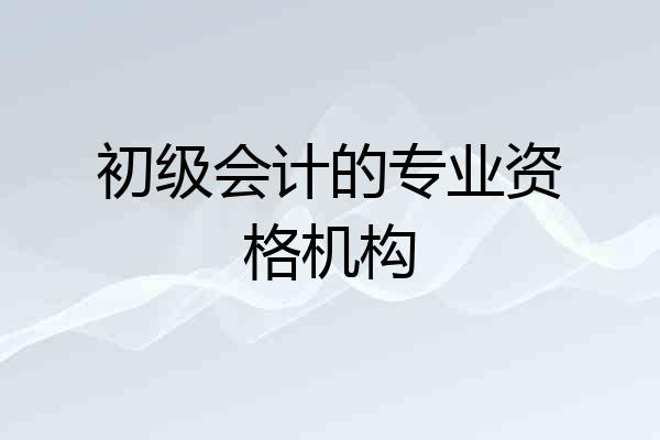 初级会计的专业资格机构