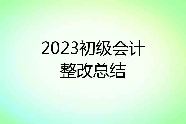 2023初级会计整改总结