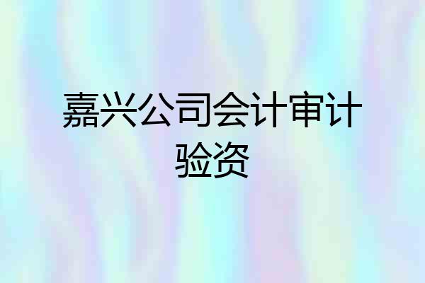 嘉兴公司会计审计验资