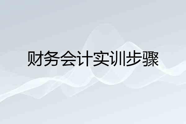财务会计实训步骤