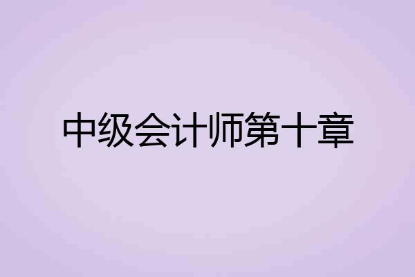 中级会计师第十章