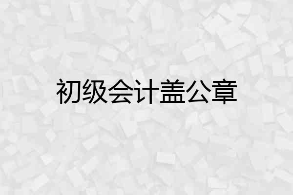 初级会计盖公章