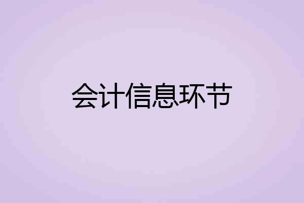会计信息环节