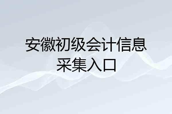 安徽初级会计信息采集入口